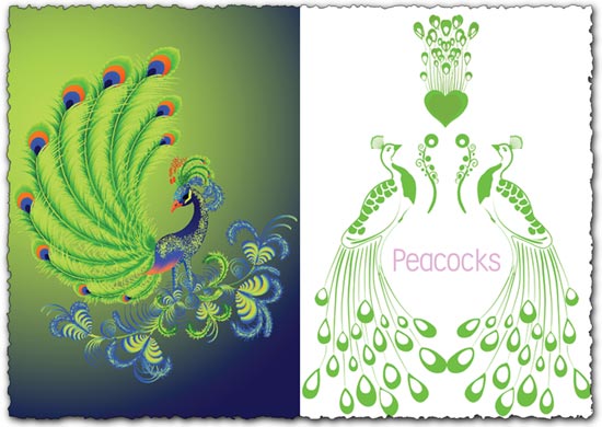 peacock photoshop brushes