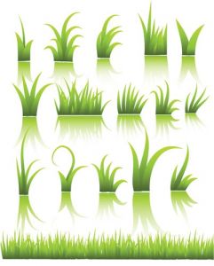 green-grass-vector-template2