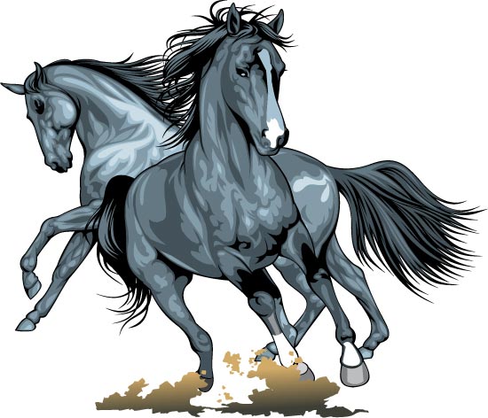Running horses vector illustrations