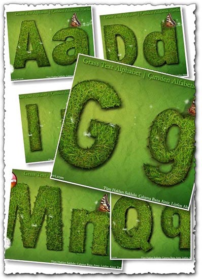 Grass Letters Vectors