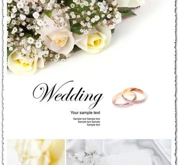 background for wedding eps vectors for download